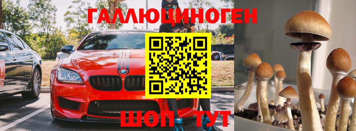 Новочебоксарск  Псилоцибиновые грибы Cubensis  купить закладку  Вход с VPN  Псилоцибиновые грибы Cubensis 